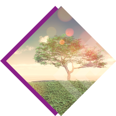 Terapias - Transgeneracional